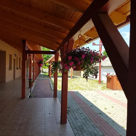 Tisza-tavirozsa Vendeghaz *